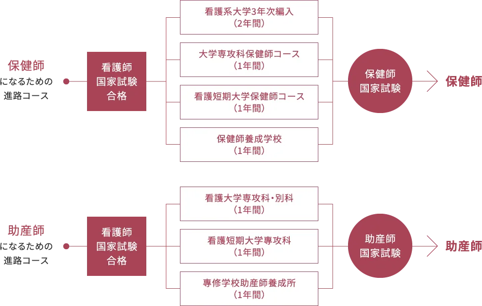 国家試験合格後の進路のイメージ