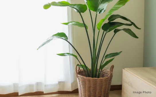 寮生活のイメージ