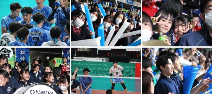 volley04.jpg