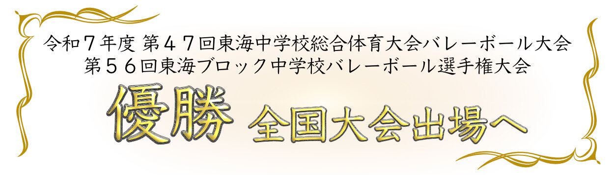 volleyballbanner48-1.jpg